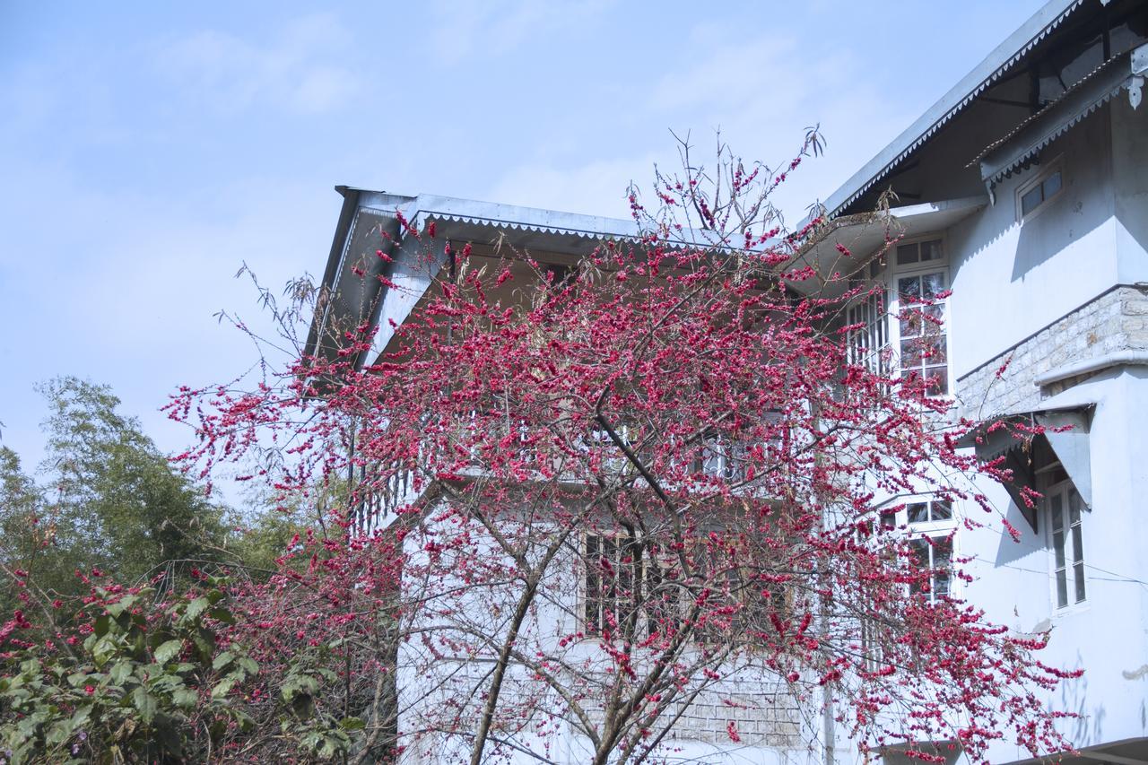 جانجتوك The Mazong Hotel المظهر الخارجي الصورة